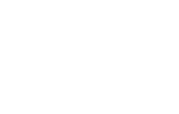 Celebrate Brands